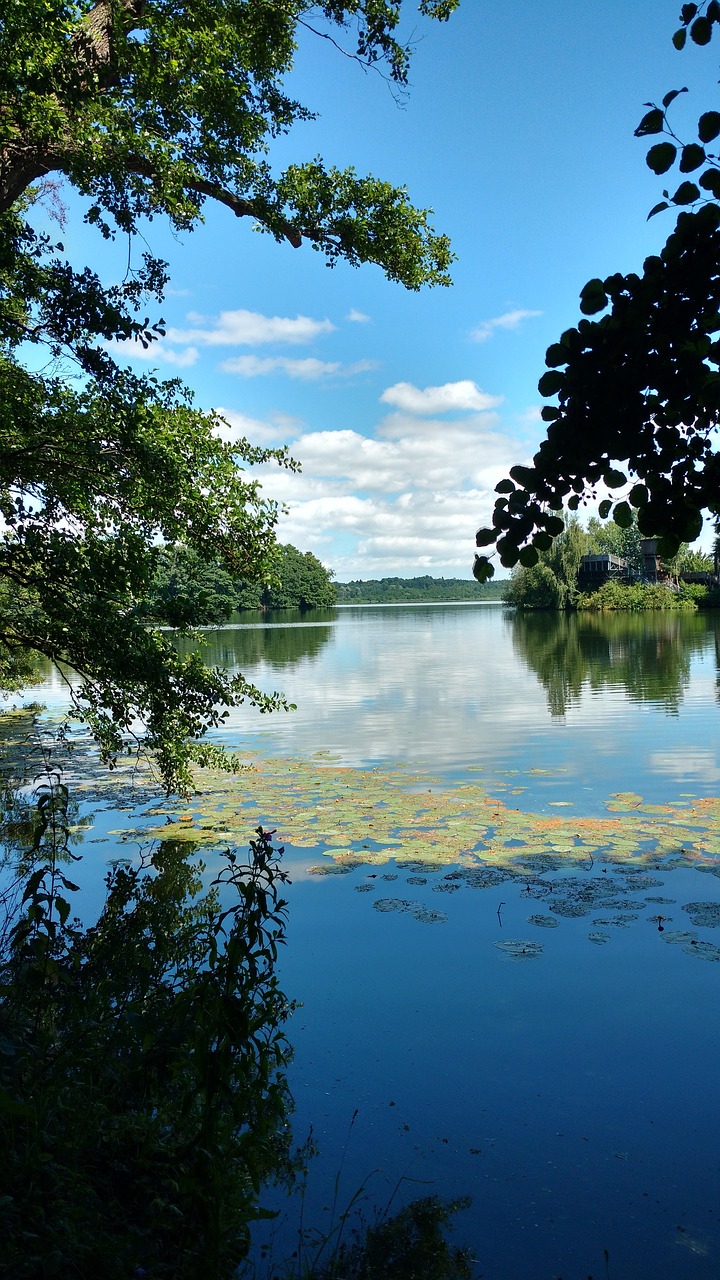 Eutin,  Eutiner Ežeras,  Meklenburgas,  Pobūdį,  Medis,  Vandenys,  Švilpukas, Nemokamos Nuotraukos,  Nemokama Licenzija