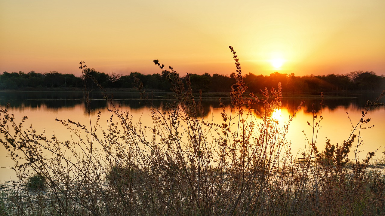 Vakaras, Ežeras, Saulėlydis, Vanduo, Gamta, Aukštas, Žolė, Atspindys, Kraštovaizdis, Dusk