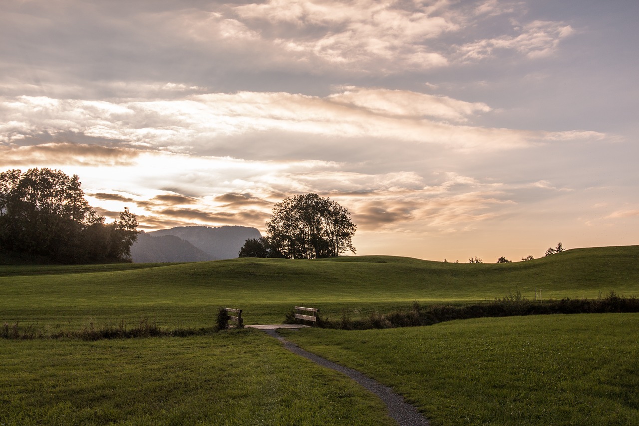 Vakaras, Vakarinė Šviesa, Twilight, Abendstimmung, Dusk, Vakarinis Dangus, Apšvietimas, Debesys, Kraštovaizdis, Medžiai