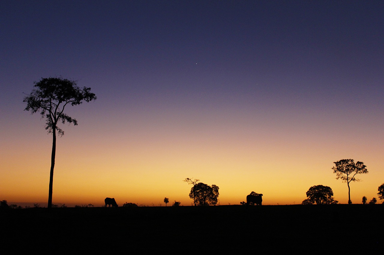 Vakarą, Horizontas, Twilight, Kraštovaizdis, Grožis, Dusk, Dangus, Nemokamos Nuotraukos,  Nemokama Licenzija