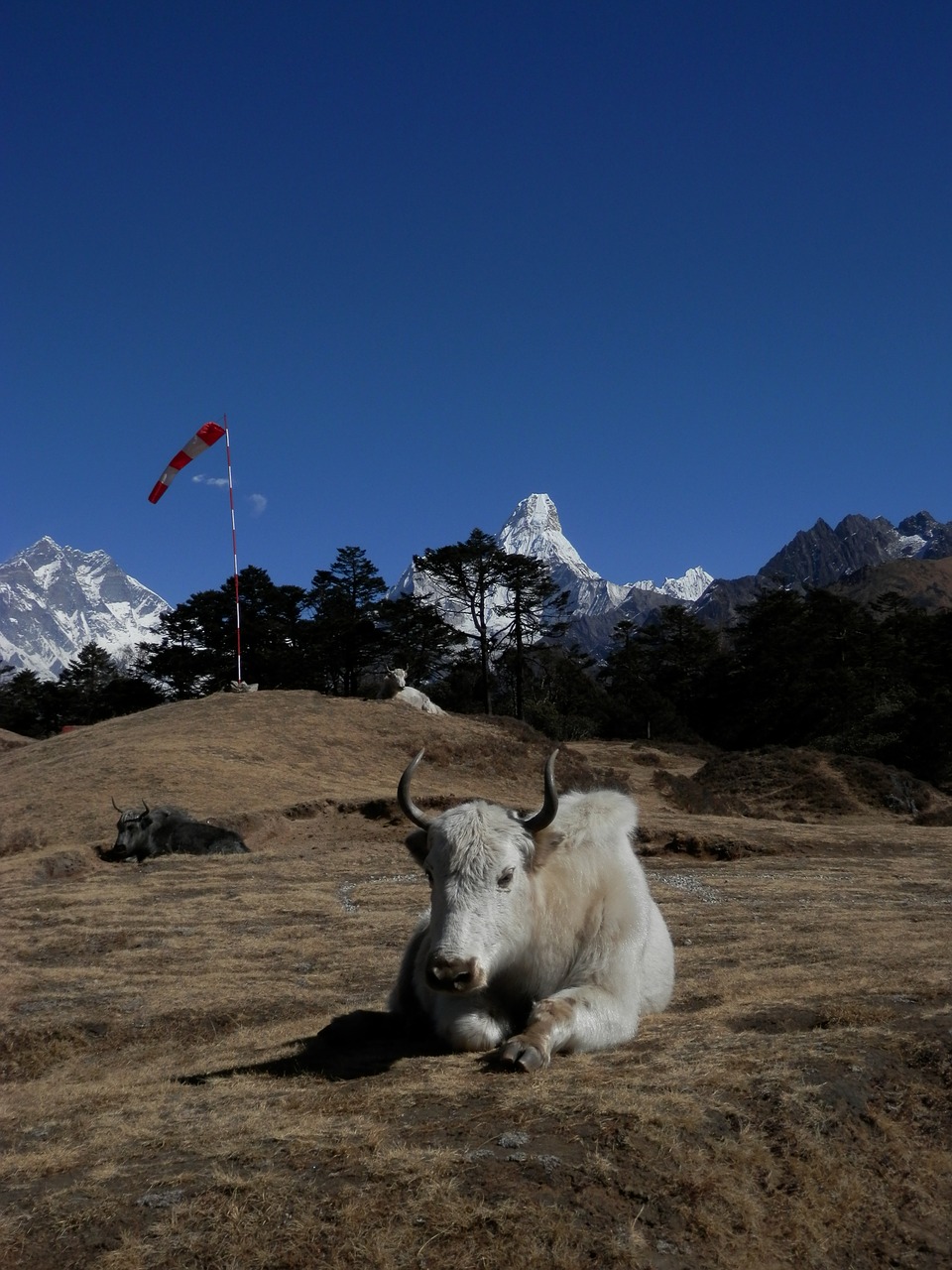 Everest, Lhotse, Nepalas, Nemokamos Nuotraukos,  Nemokama Licenzija