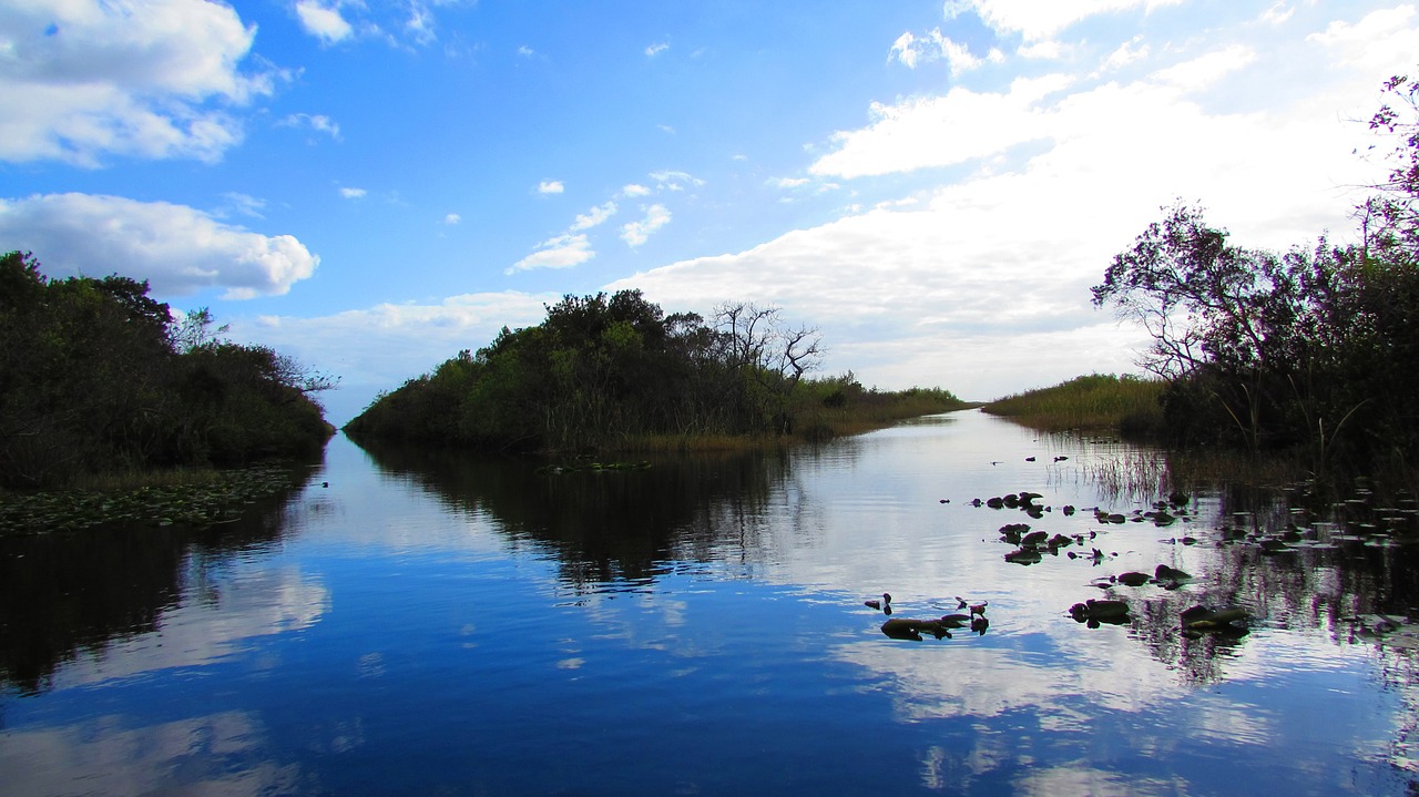 Everglades, Miami, Kraštovaizdis, Dangus, Pelkė, Nemokamos Nuotraukos,  Nemokama Licenzija