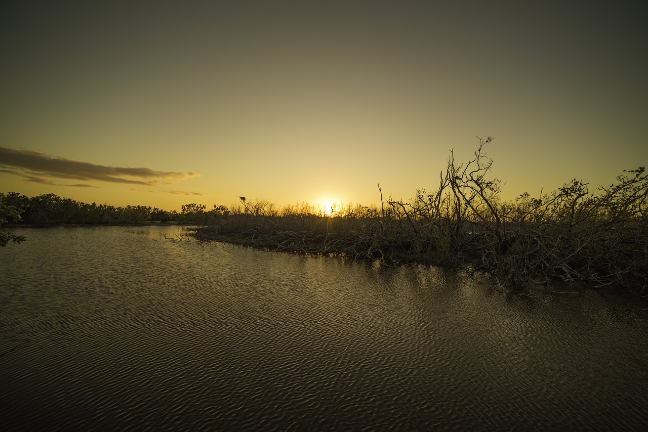 Everglades,  Pelkė,  Marsh,  Pobūdį,  Lauke,  Saulėlydžio,  Dangus,  Vandens,  Tvenkinys, Nemokamos Nuotraukos