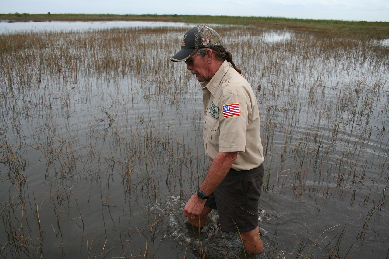 Everglades, Ranger, Florida, Nemokamos Nuotraukos,  Nemokama Licenzija