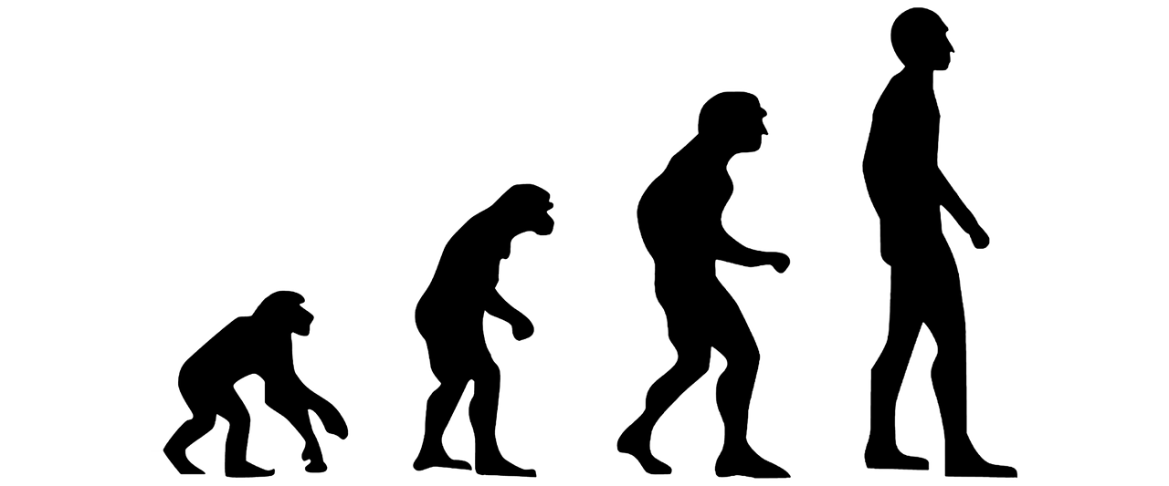 Evoliucija, Žmogaus Evoliucija, Evoliucijos Teorija, Charles Darwin, Prokonsulas, Austrelopithecus, Homo Habilis, Homo Sapiens, Nemokamos Nuotraukos,  Nemokama Licenzija