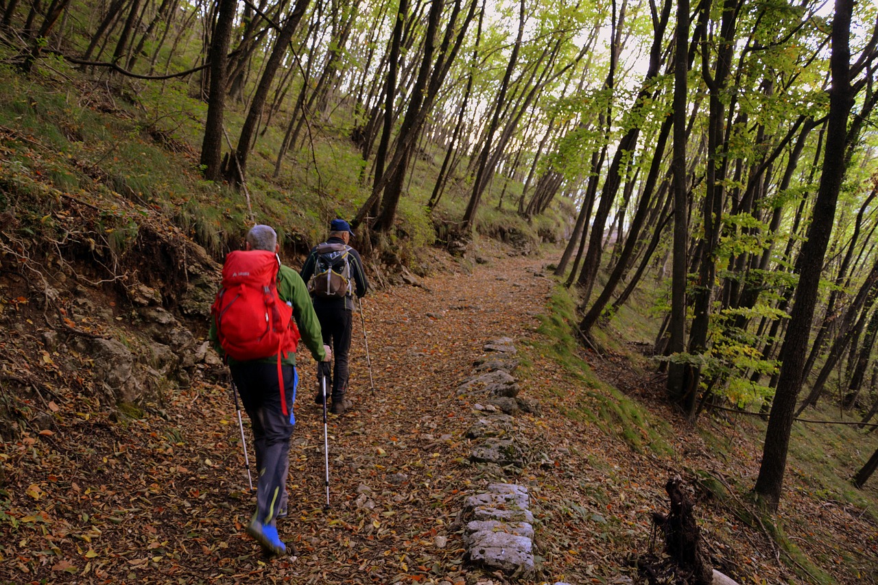 Ekskursija, Takas, Kalnas, Vaikščioti Su Lazdelėmis, Europinis Kelias, E5, Lessinia, Italy, Nemokamos Nuotraukos,  Nemokama Licenzija