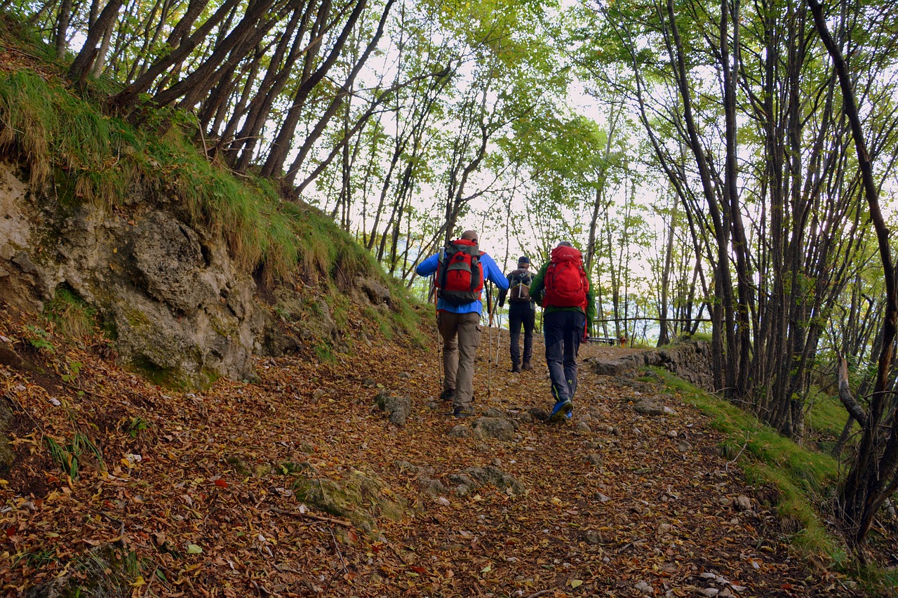 Ekskursija, Miškas, Ruduo, Takas, Kalnas, Vaikščioti Su Lazdelėmis, Europinis Kelias, E5, Lessinia, Italy