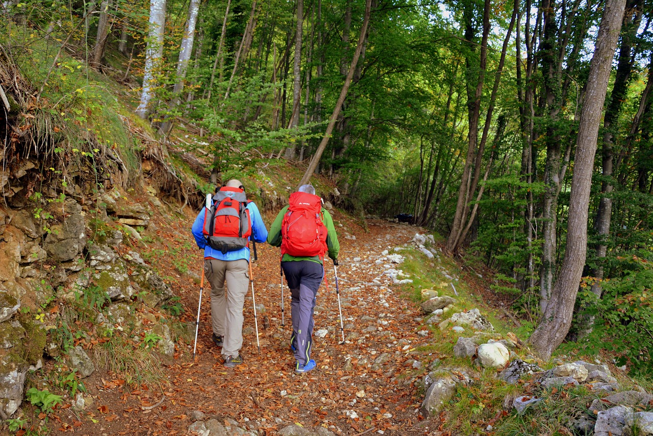 Ekskursija, Miškas, Ruduo, Takas, Kalnas, Vaikščioti Su Lazdelėmis, Europinis Kelias, E5, Lessinia, Italy