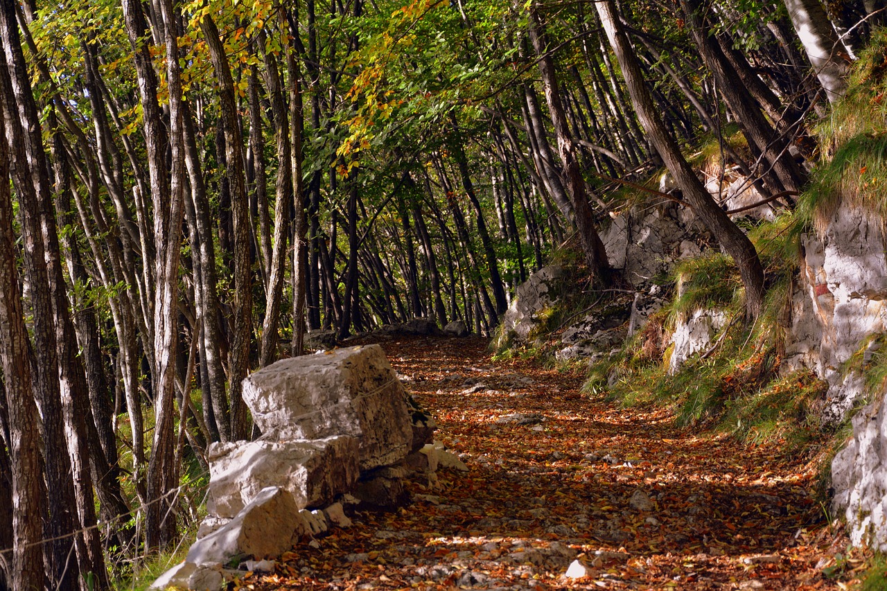 Ekskursija, Miškas, Ruduo, Takas, Kalnas, Europinis Kelias, E5, Lessinia, Italy, Nemokamos Nuotraukos