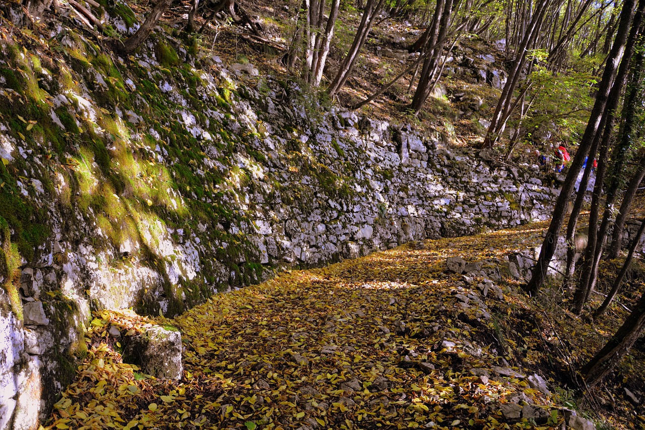 Ekskursija, Miškas, Ruduo, Takas, Kalnas, Europinis Kelias, E5, Lessinia, Italy, Nemokamos Nuotraukos