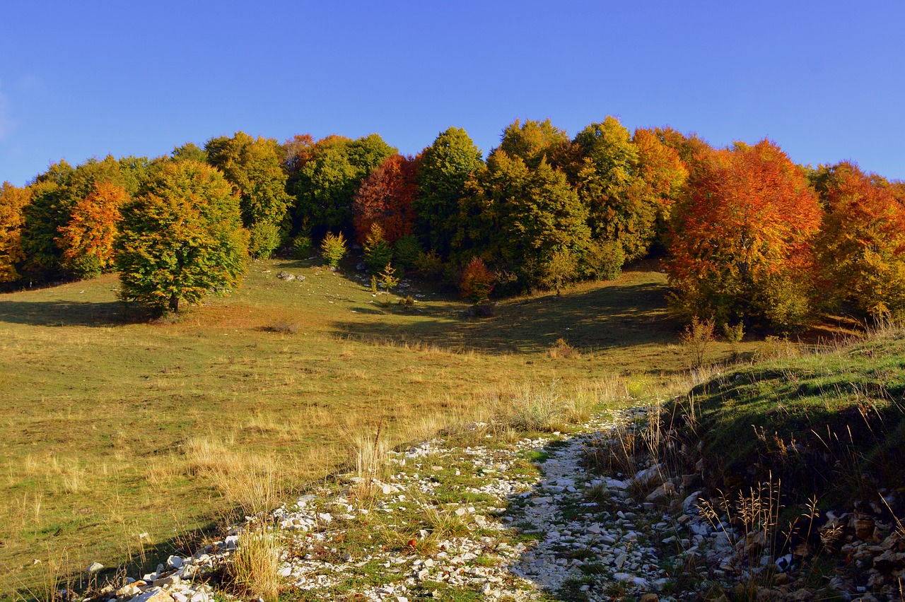 Ekskursija, Medžiai, Ruduo, Takas, Kalnas, Europinis Kelias, E5, Lessinia, Italy, Nemokamos Nuotraukos