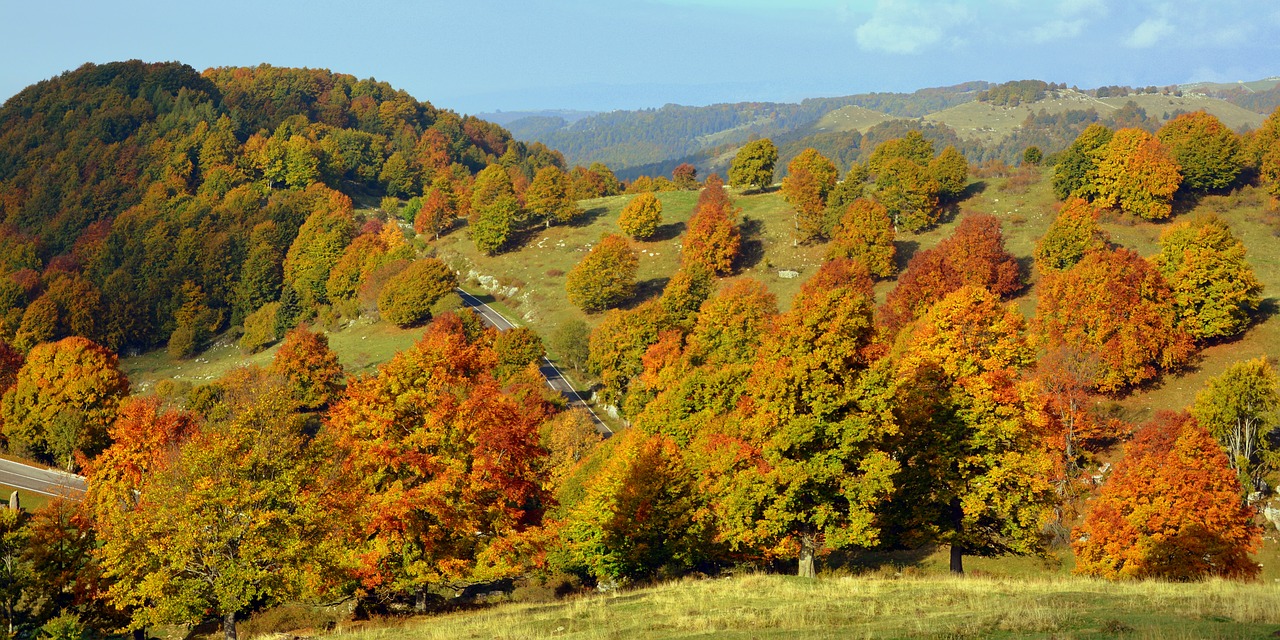 Ekskursija, Medžiai, Ruduo, Takas, Kalnas, Europinis Kelias, E5, Lessinia, Italy, Nemokamos Nuotraukos