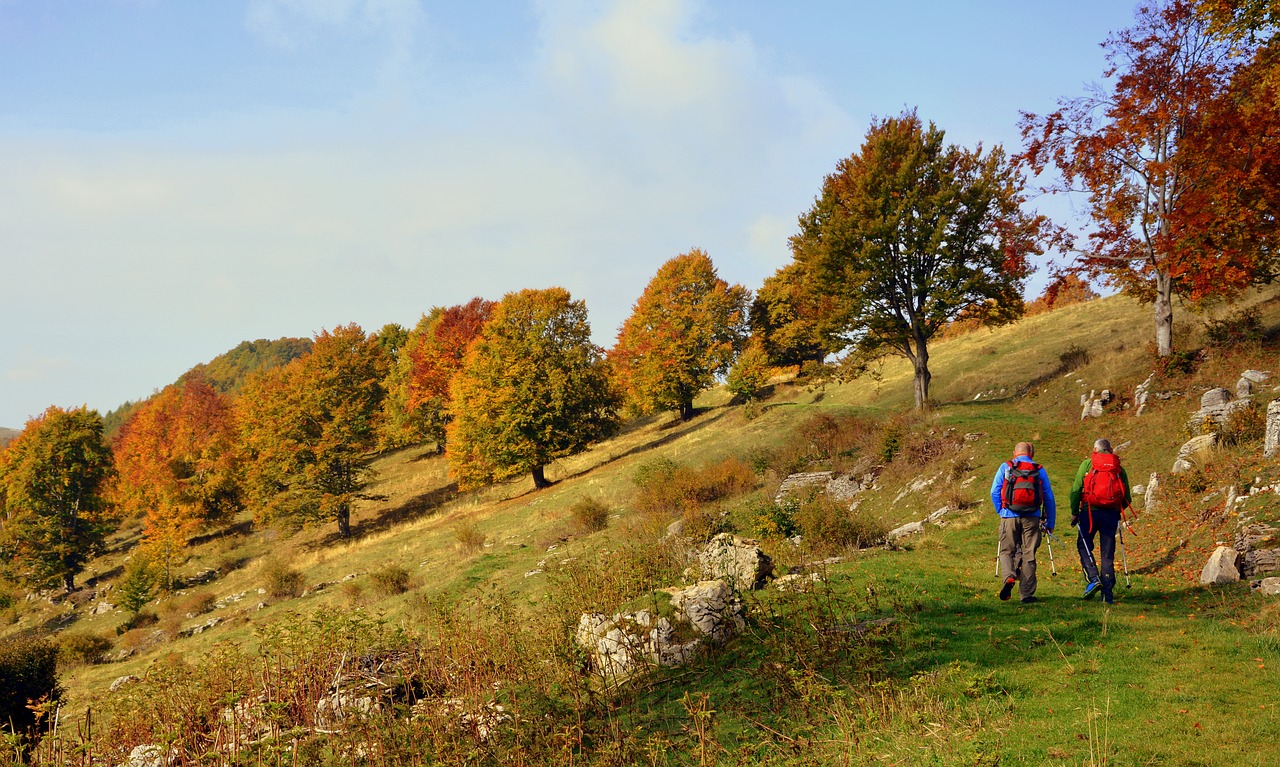 Ekskursija, Takas, Vaikščioti Su Lazdelėmis, Kalnas, Europinis Kelias, E5, Lessinia, Italy, Nemokamos Nuotraukos,  Nemokama Licenzija