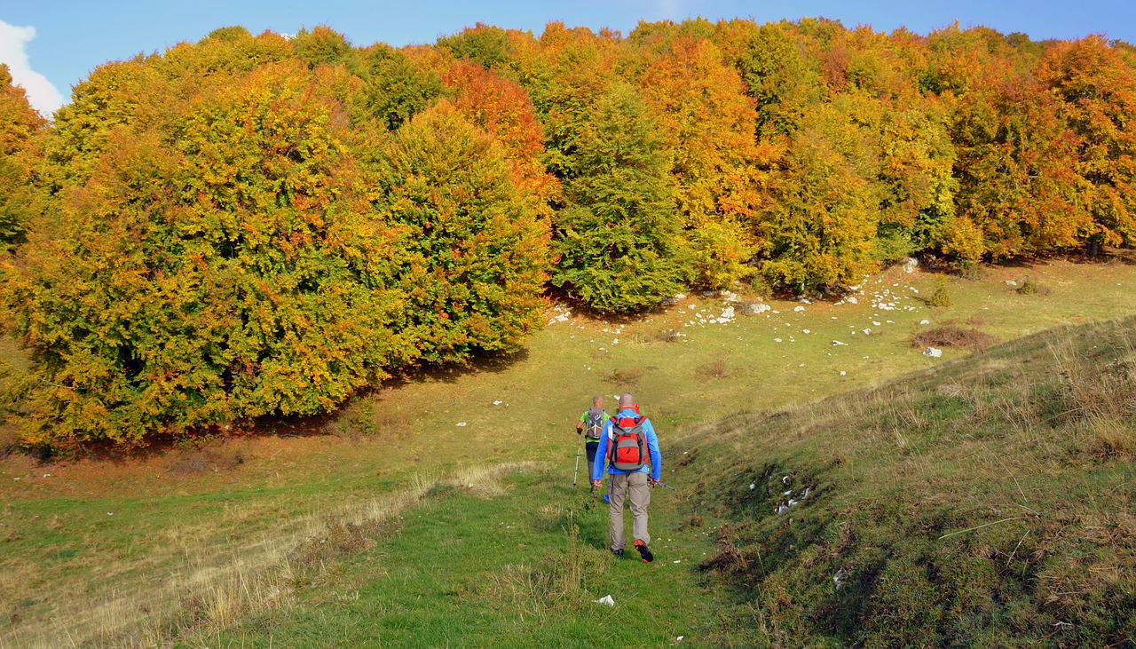 Ekskursija, Takas, Miškas, Vaikščioti Su Lazdelėmis, Kalnas, Europinis Kelias, E5, Lessinia, Italy, Nemokamos Nuotraukos