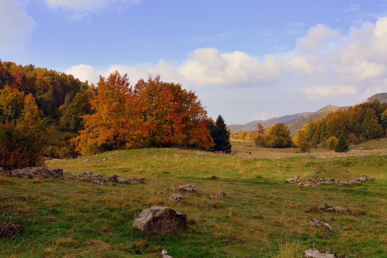 Ekskursija, Medžiai, Ruduo, Takas, Kalnas, Europinis Kelias, E5, Lessinia, Italy, Nemokamos Nuotraukos