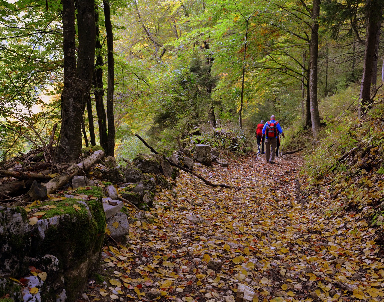 Ekskursija, Miškas, Ruduo, Takas, Vaikščioti Su Lazdelėmis, Kalnas, Europinis Kelias, E5, Lessinia, Italy