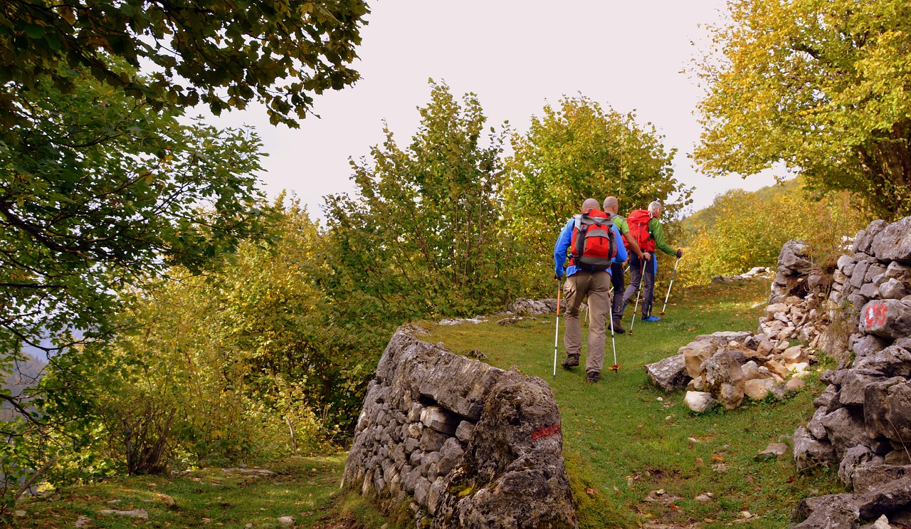 Ekskursija, Miškas, Ruduo, Takas, Vaikščioti Su Lazdelėmis, Kalnas, Europinis Kelias, E5, Lessinia, Italy