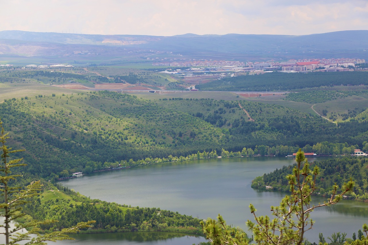 Eymur,  Ežeras,  Vandens,  Miškas,  Medis,  Gamta, Nemokamos Nuotraukos,  Nemokama Licenzija