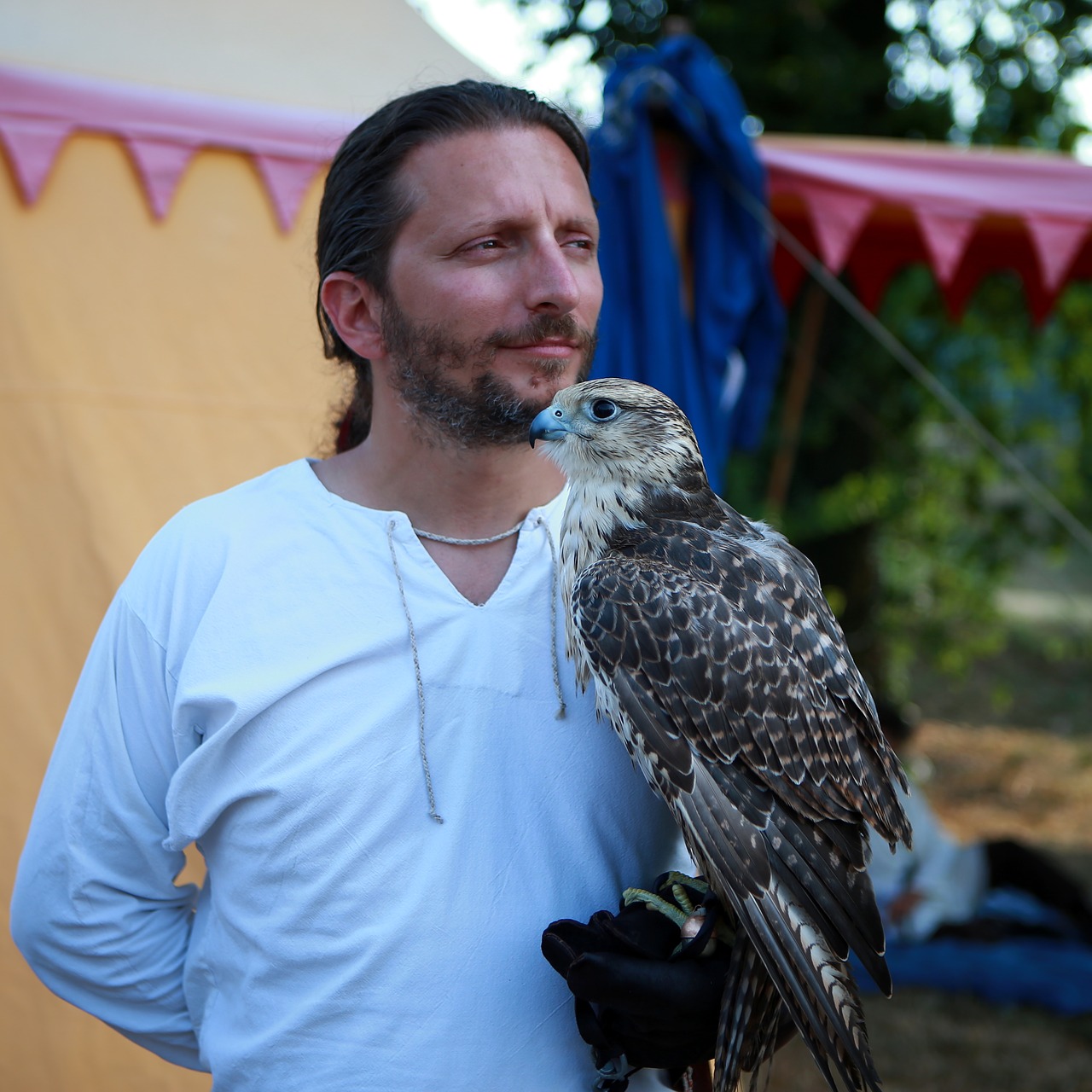 Falco, Raptoras, Paukštis, Gyvūnai, Plėšrūnas, Falconer, Salkūnai, Viduramžiai, Medžioklė, Nemokamos Nuotraukos