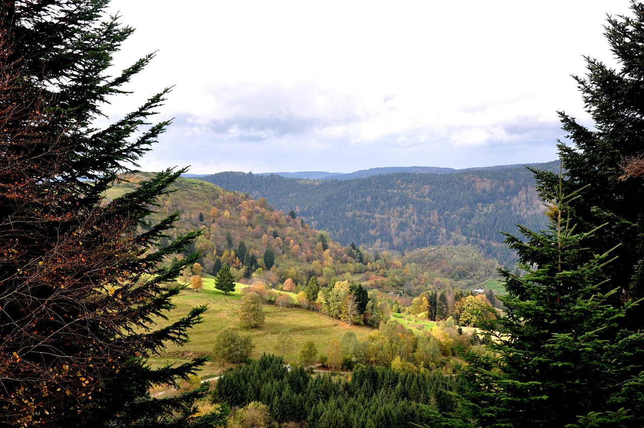 Kritimas, Vosges, Gamta, Kalnai, France, Nemokamos Nuotraukos,  Nemokama Licenzija