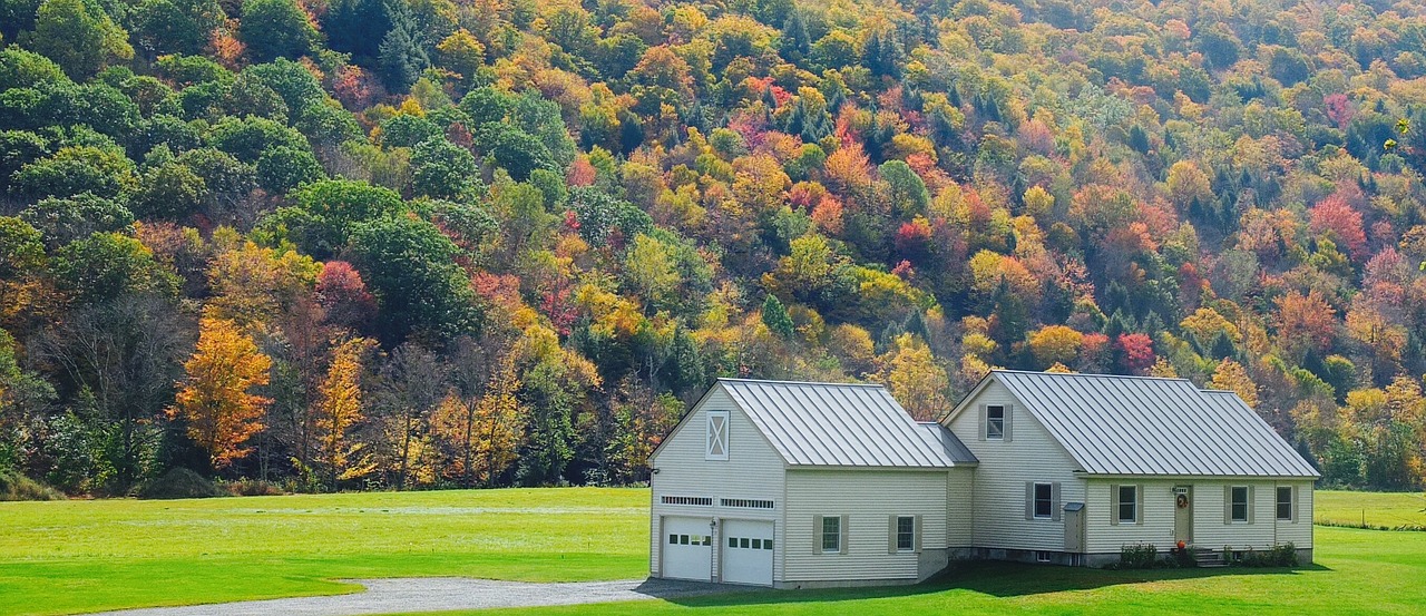 Rudens Lapai, Vermont, Gyvatė, Namai, Riebalai, Ruduo, Peizažas, Miškas, Spalvos, Nemokamos Nuotraukos