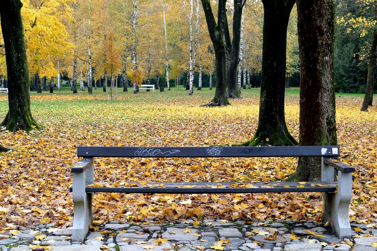 Kritimas,  Mediena,  Stendas,  Medis,  Parkas,  Be Honoraro Mokesčio, Nemokamos Nuotraukos,  Nemokama Licenzija