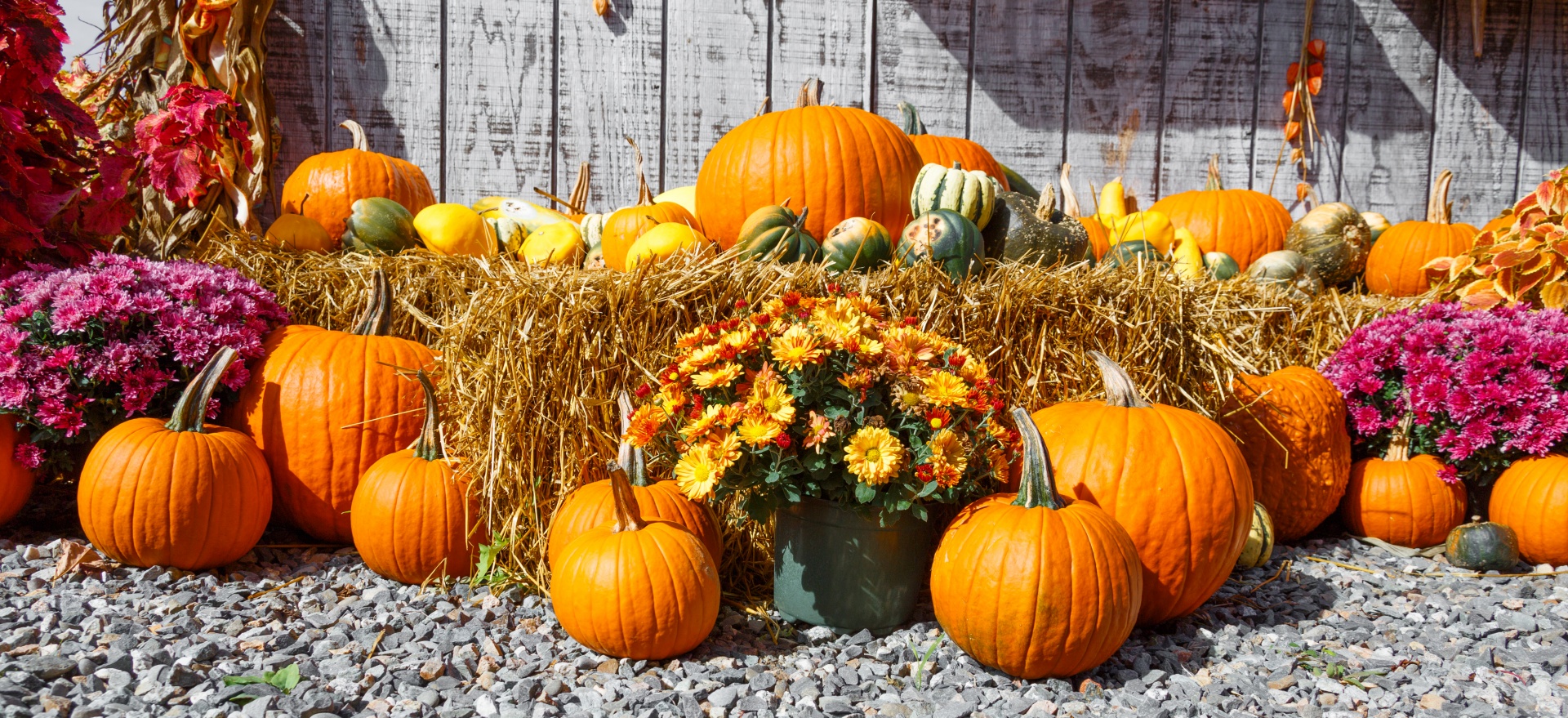 Ruduo,  Spalvinga,  Dekoratyvinis,  Rodyti,  Kritimas,  Šviežias,  Moliūgas,  Halloween,  Derlius,  Šienas