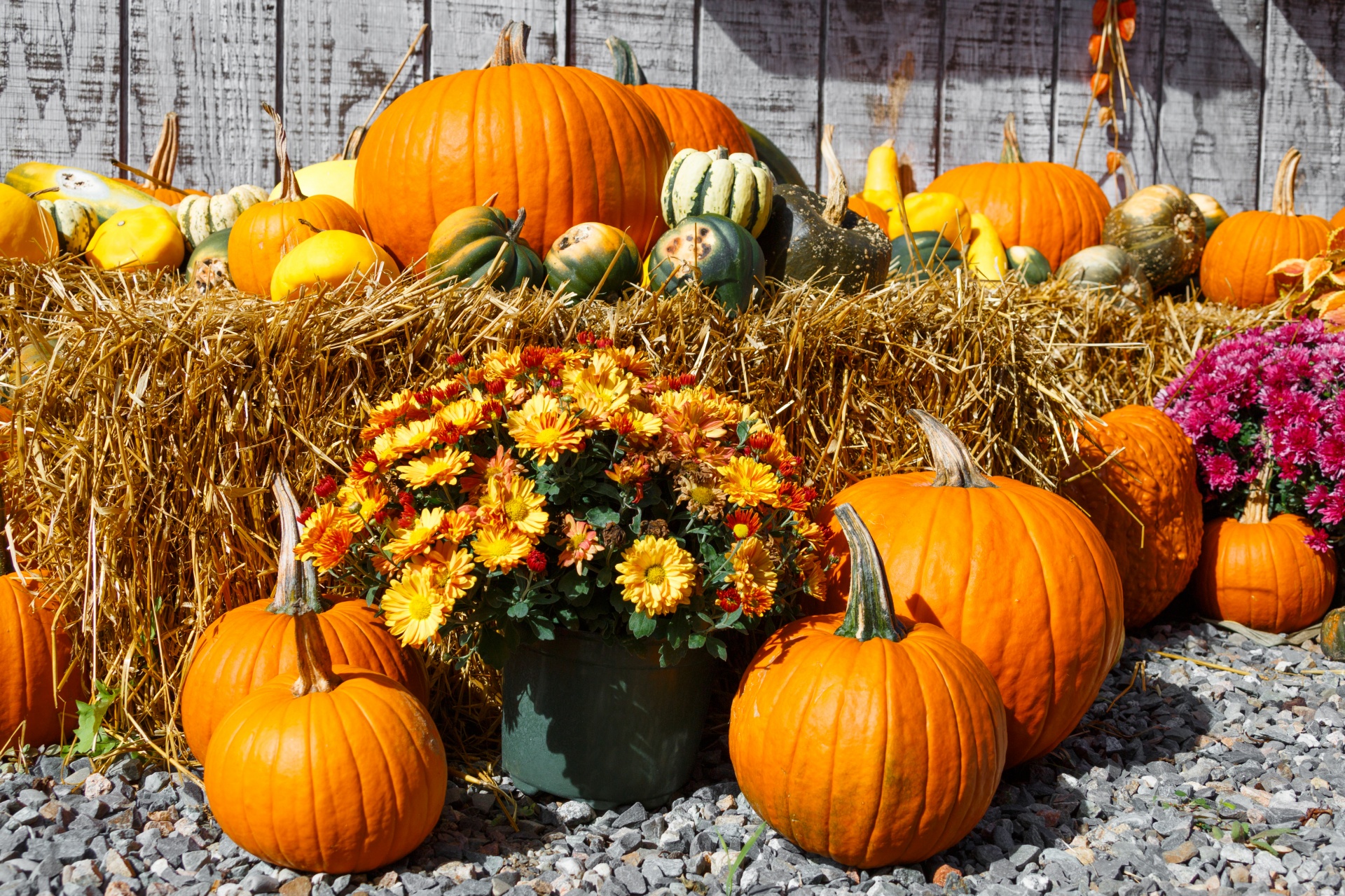 Ruduo,  Spalvinga,  Dekoratyvinis,  Rodyti,  Kritimas,  Šviežias,  Moliūgas,  Halloween,  Derlius,  Šienas