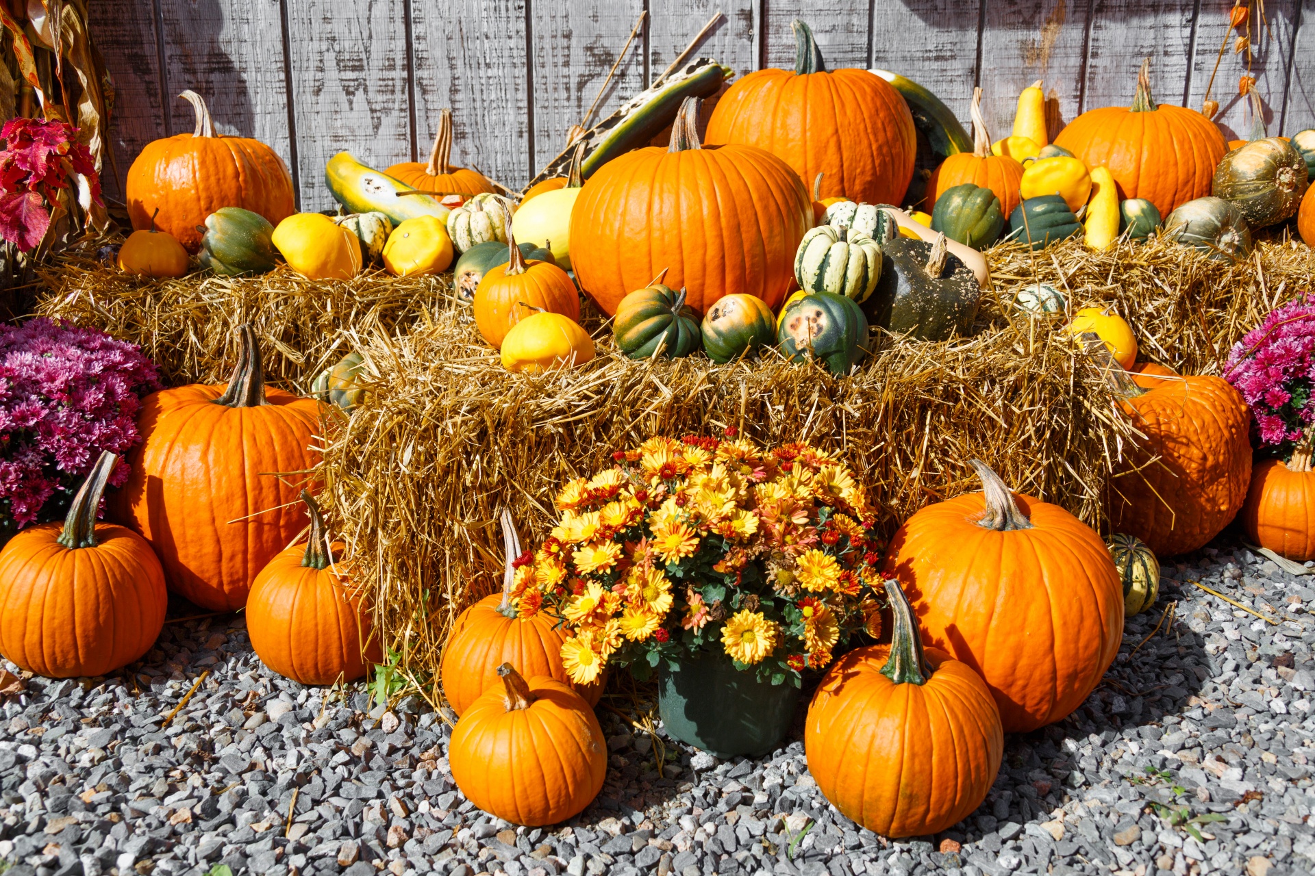 Ruduo,  Spalvinga,  Dekoratyvinis,  Rodyti,  Kritimas,  Šviežias,  Moliūgas,  Halloween,  Derlius,  Šienas