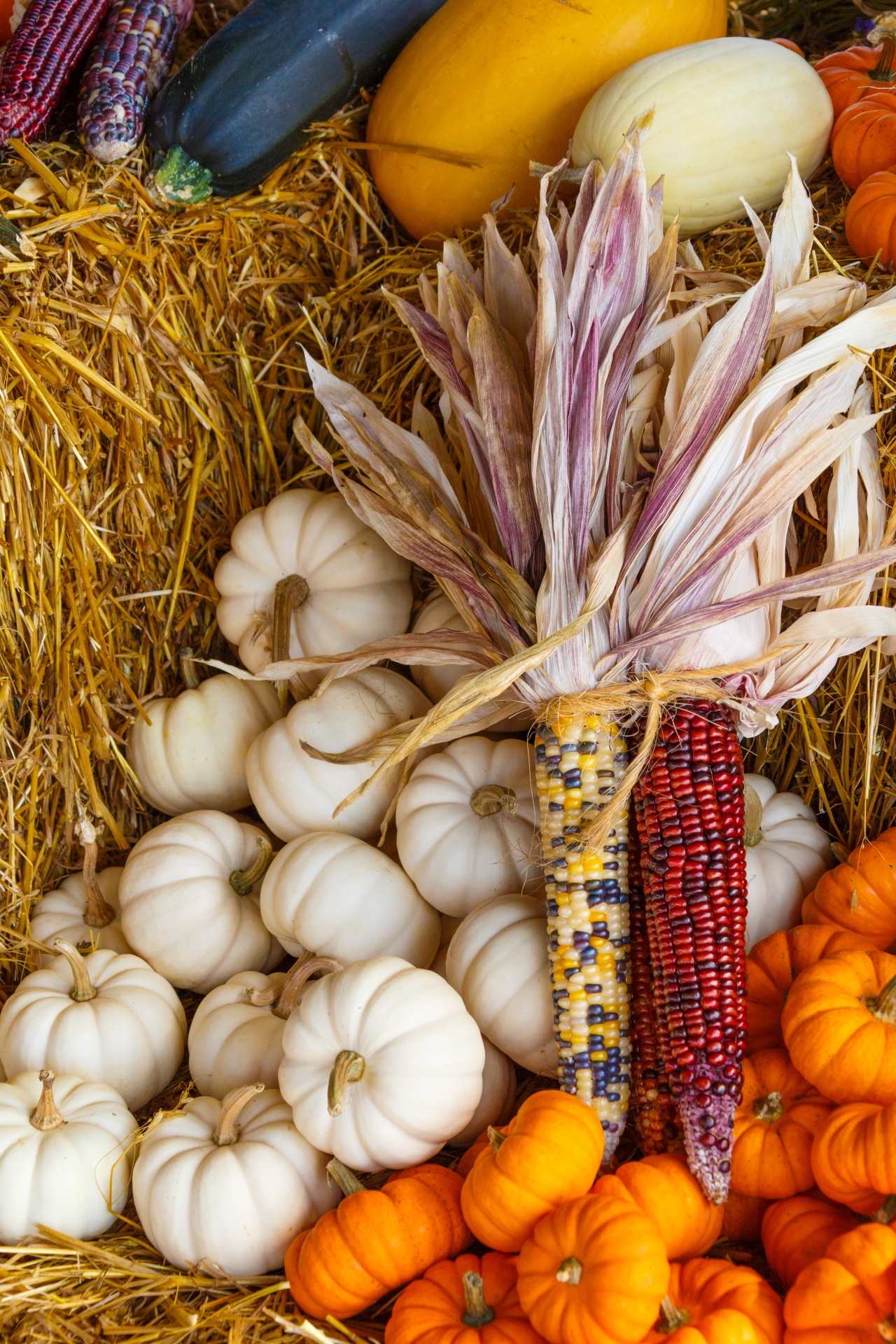 Ruduo,  Spalvinga,  Dekoratyvinis,  Rodyti,  Kritimas,  Šviežias,  Moliūgas,  Halloween,  Derlius,  Šienas