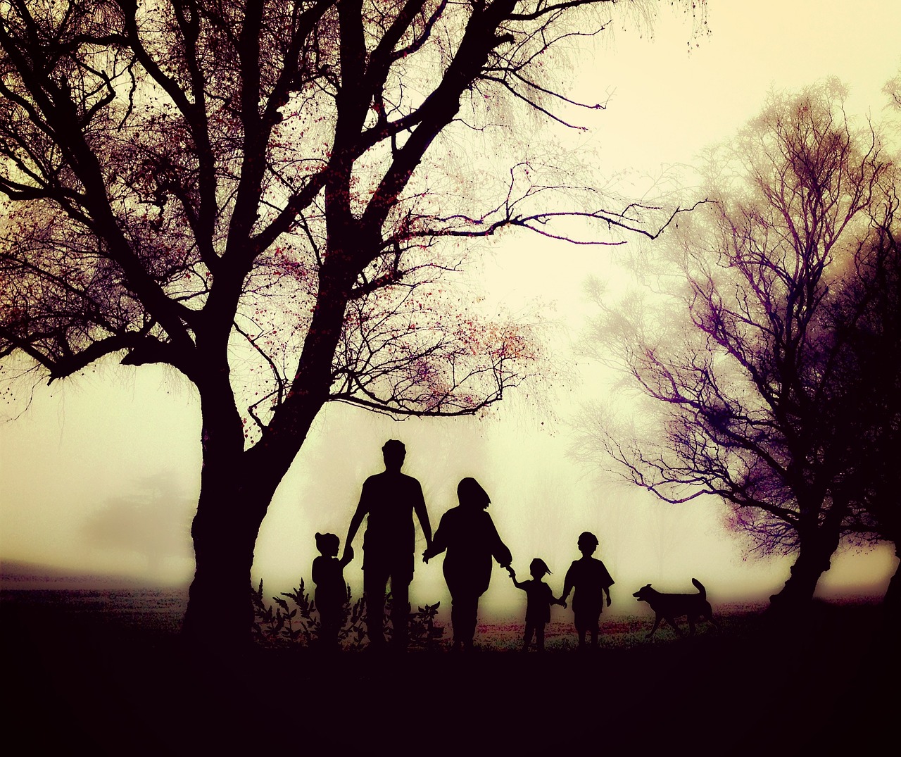 Šeima, Vaikščioti, Laisvalaikis, Gamta, Žygiai, Vaikai, Žmogus, Rūkas, Daugiau, Eiti