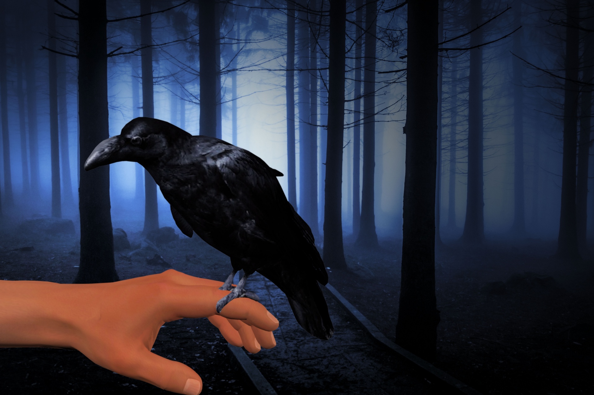 Черные птицы читать. Ворона. Ворон. Черная птица в лесу. Черный ворон.