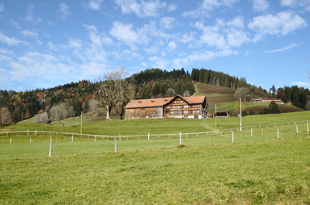 Ūkis, Appenzello Kantonas, Šveicarija, Turizmas, Pieva, Žemdirbystė, Idilija, Gamta, Tradicija, Miškas
