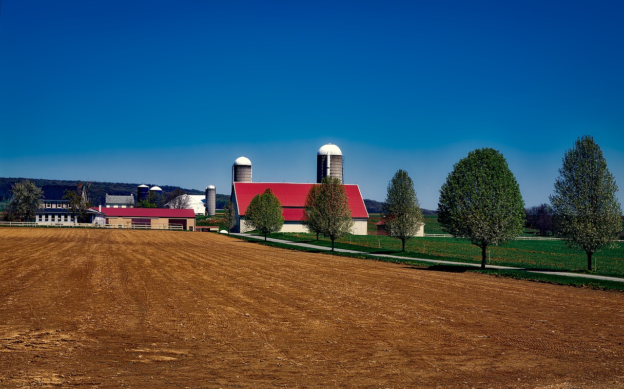 Ūkis, Amish, Pennsylvania, Kraštovaizdis, Tvartas, Žemdirbystė, Kaimas, Lancaster, Apskritis, Lauke
