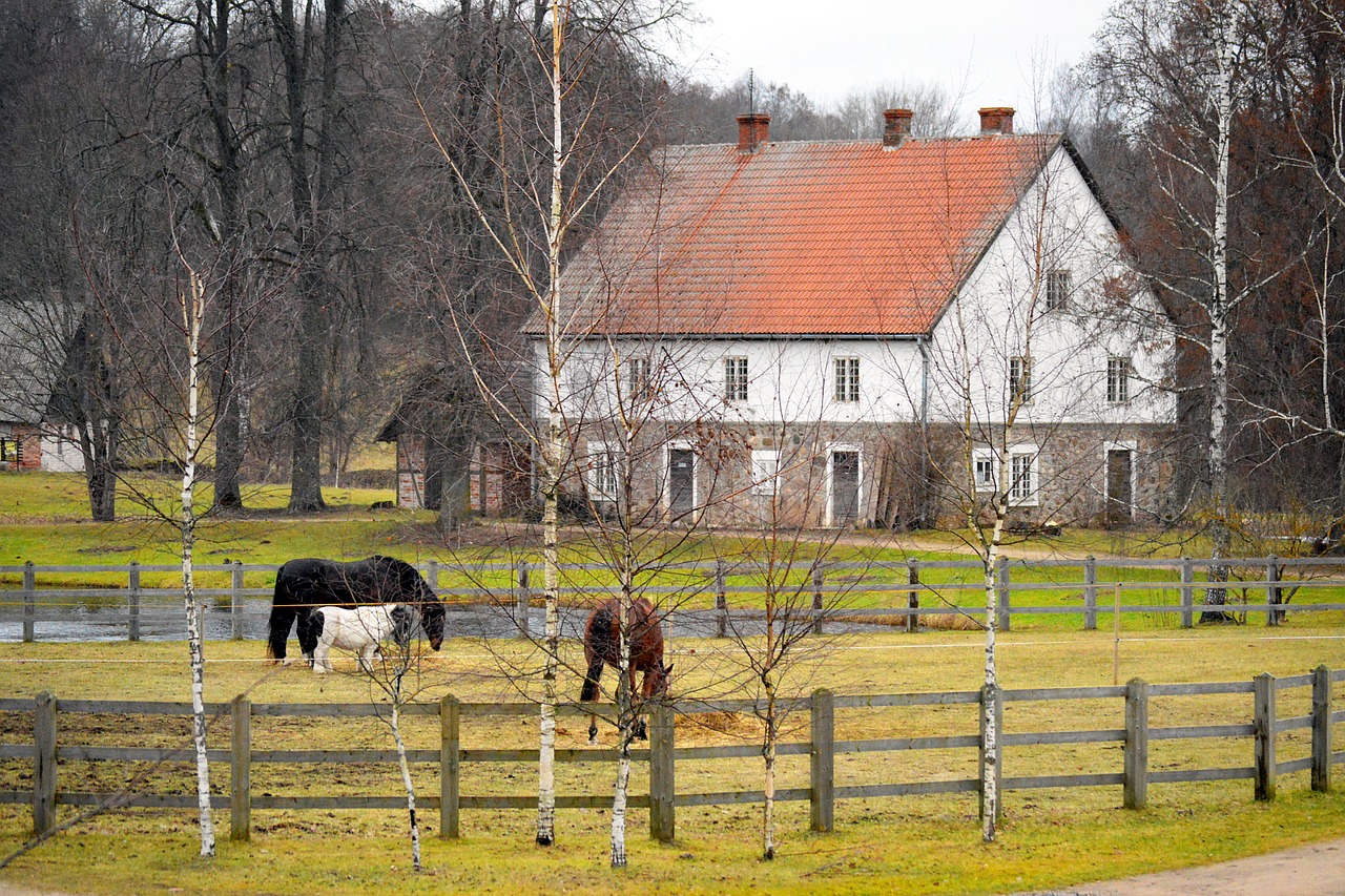 Ūkis, Sodyba, Arkliai, Rašiklis, Šalis, Kaimas, Latvia, Kaimas, Kaimo Vietovė, Ūkininkavimas