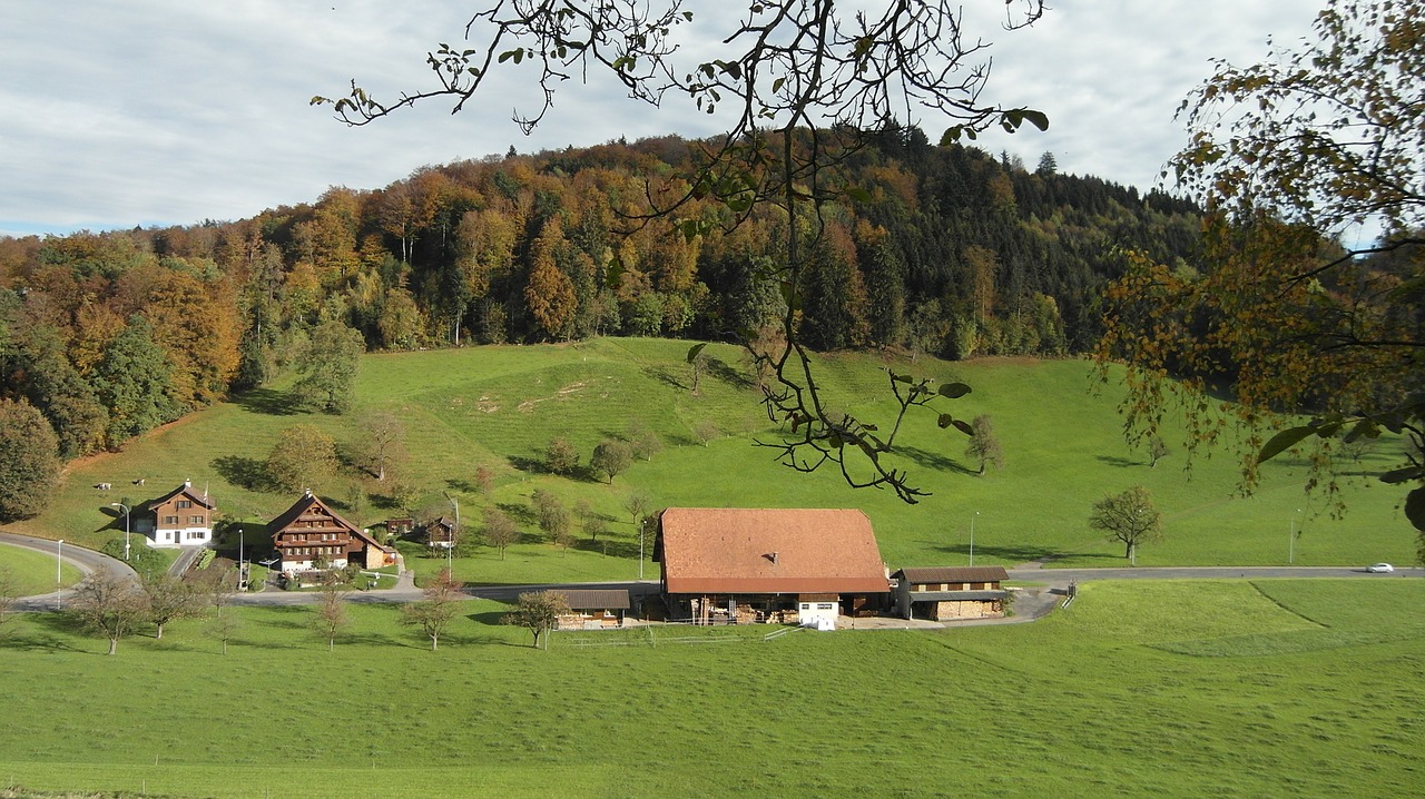 Ūkis, Žemdirbystė, Kraštovaizdis, Namai, Medžiai, Miškas, Horw, Šveicarija, Žalias, Nemokamos Nuotraukos