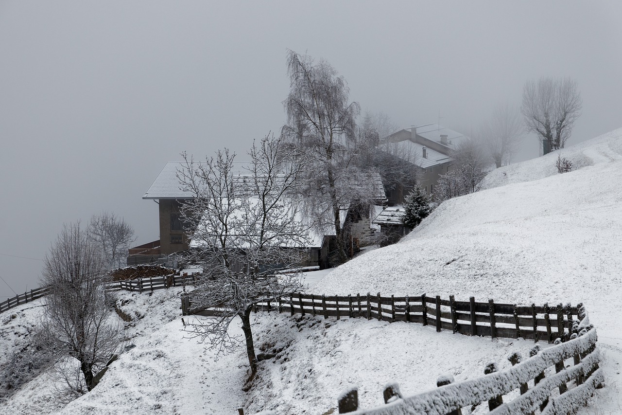 Ūkis, Žiema, Sniegas, Vienišas, Rūkas, Pilka, Šaltas, South Tyrol, Italy, Nemokamos Nuotraukos