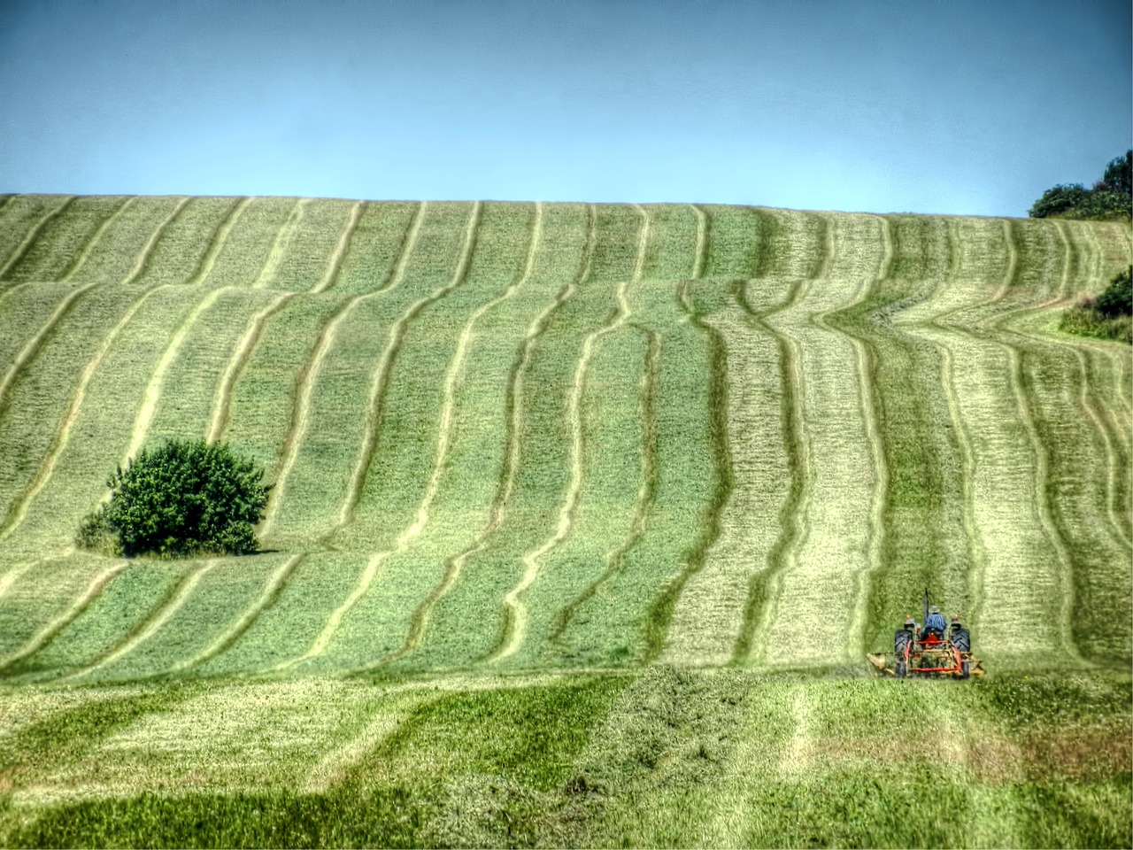 Ūkis, Laukai, Žemdirbystė, Gamta, Ganykla, Pre, Prairie, Laukas, Ūkininkas, Kaimas