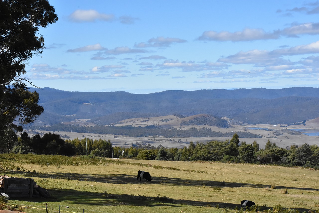 Ūkis,  Peizažas,  Slėnis,  Australija,  Kaimo,  Kaimo,  Žemės Ūkio Naudmenų,  Kraštovaizdis,  Meadow,  Šalis