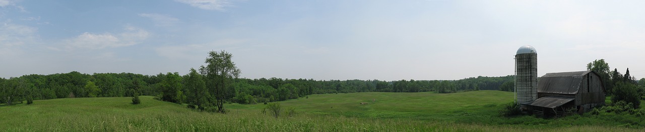 Ūkis,  Metai,  Šalis,  Žolė,  Namas,  Kaimo,  Tvartas,  Kraštovaizdis,  Natūralus,  Atsisakyta