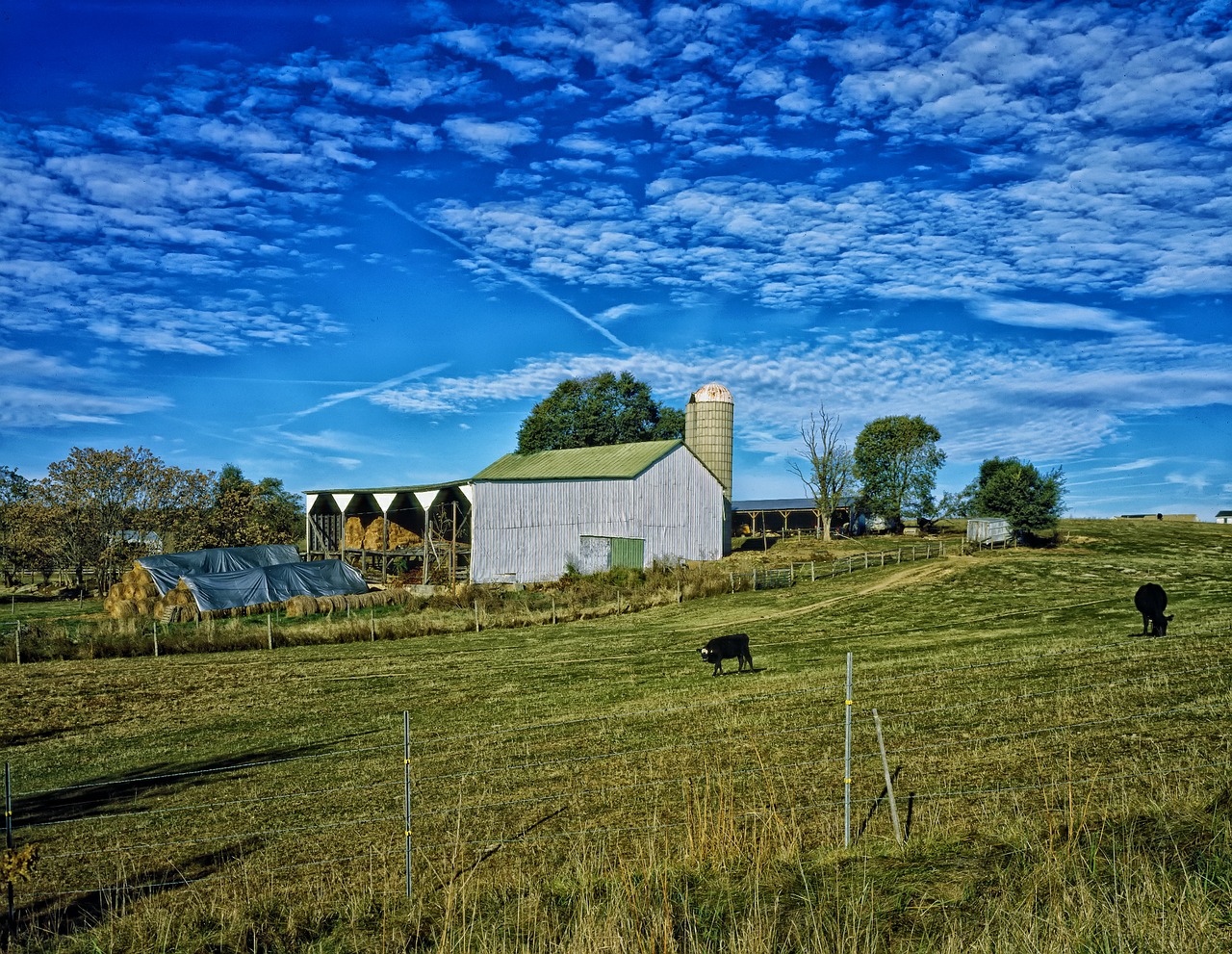 Ūkis, Kaimas, Dangus, Debesys, Kraštovaizdis, Vaizdingas, Hdr, Galvijai, Gyvuliai, Ganykla