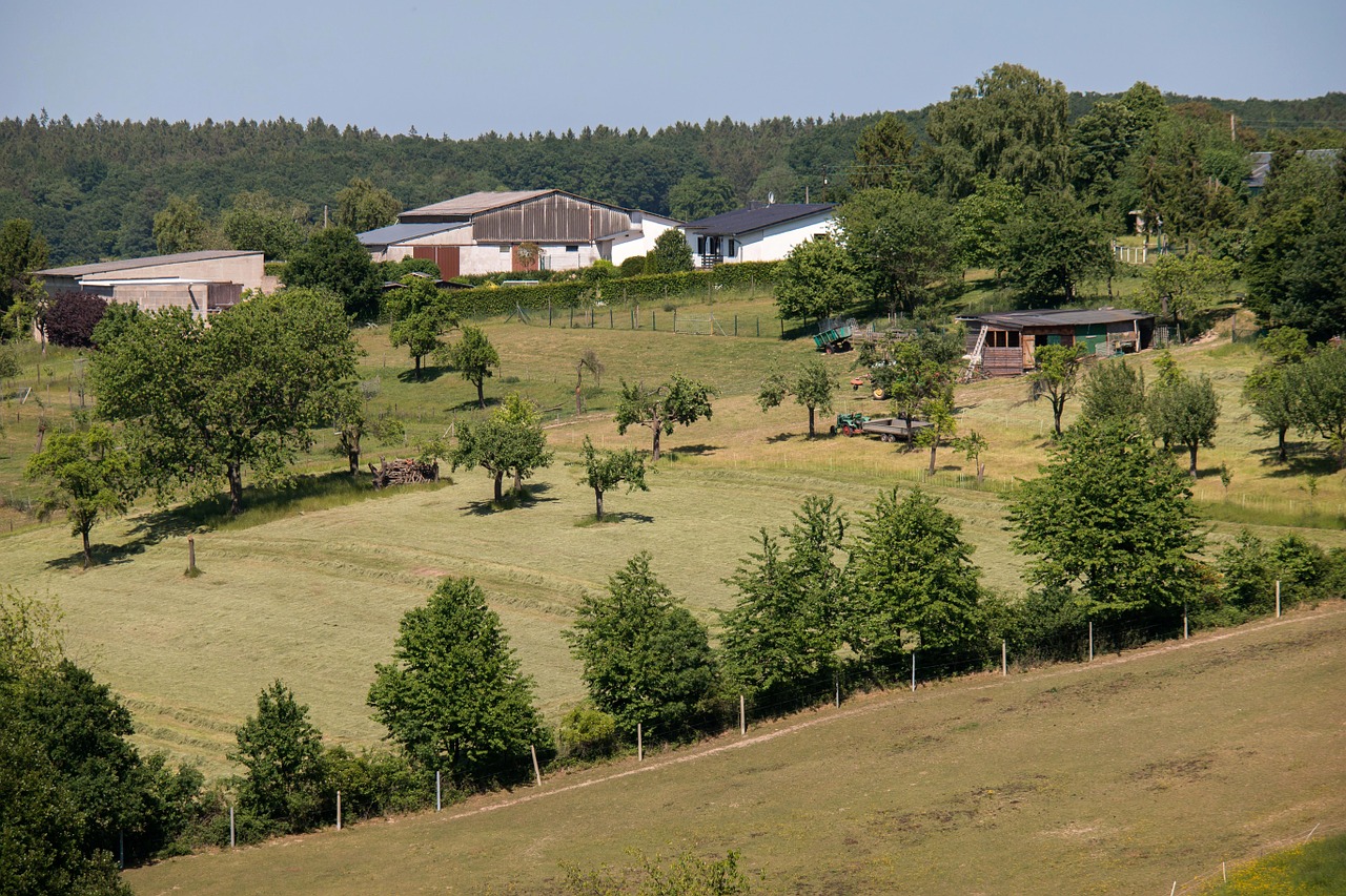 Ūkis, Eifel, Žemdirbystė, Sodyba, Tvartas, Saulėtas, Hof, Žemės Ūkio, Vokietija, Nemokamos Nuotraukos