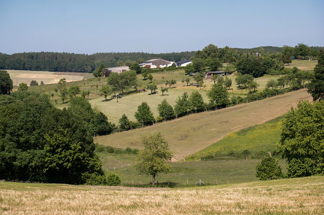 Ūkis, Eifel, Žemdirbystė, Sodyba, Tvartas, Saulėtas, Hof, Žemės Ūkio, Vokietija, Nemokamos Nuotraukos