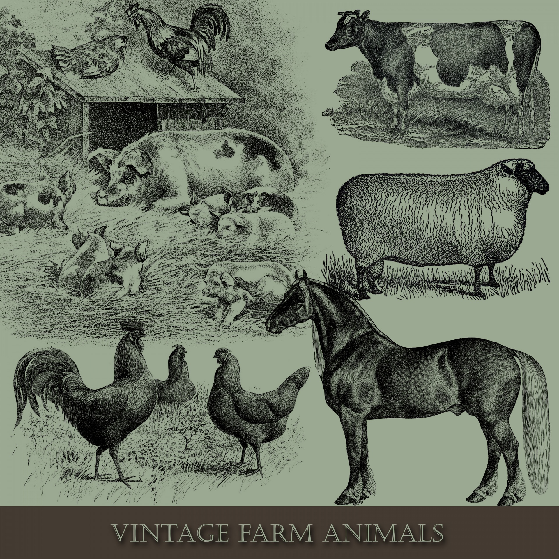 Лошади коровы и куры. Рисунки сельскохозяйственных животных. Сельхоз животные. Рисунки сельхоз животных. Сельскохозяйственные животные рисунок.