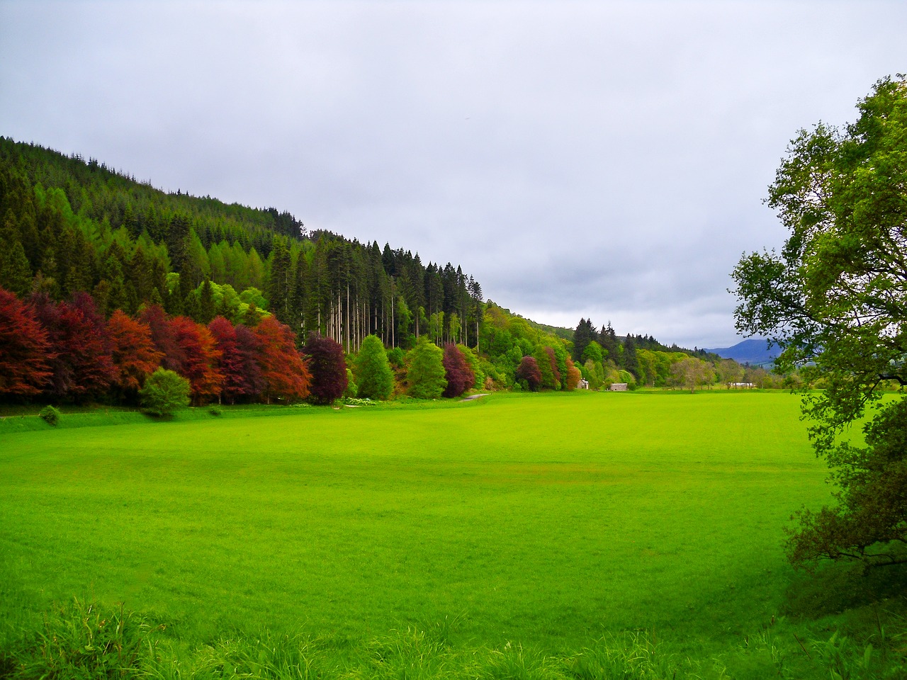 Ūkių Laukas Dunkeld Scotland, Kaimas, Sodrus, Žemės Ūkio Paskirties Žemė, Kaimas, Laukas, Žemdirbystė, Žalias, Kraštovaizdis, Gamta