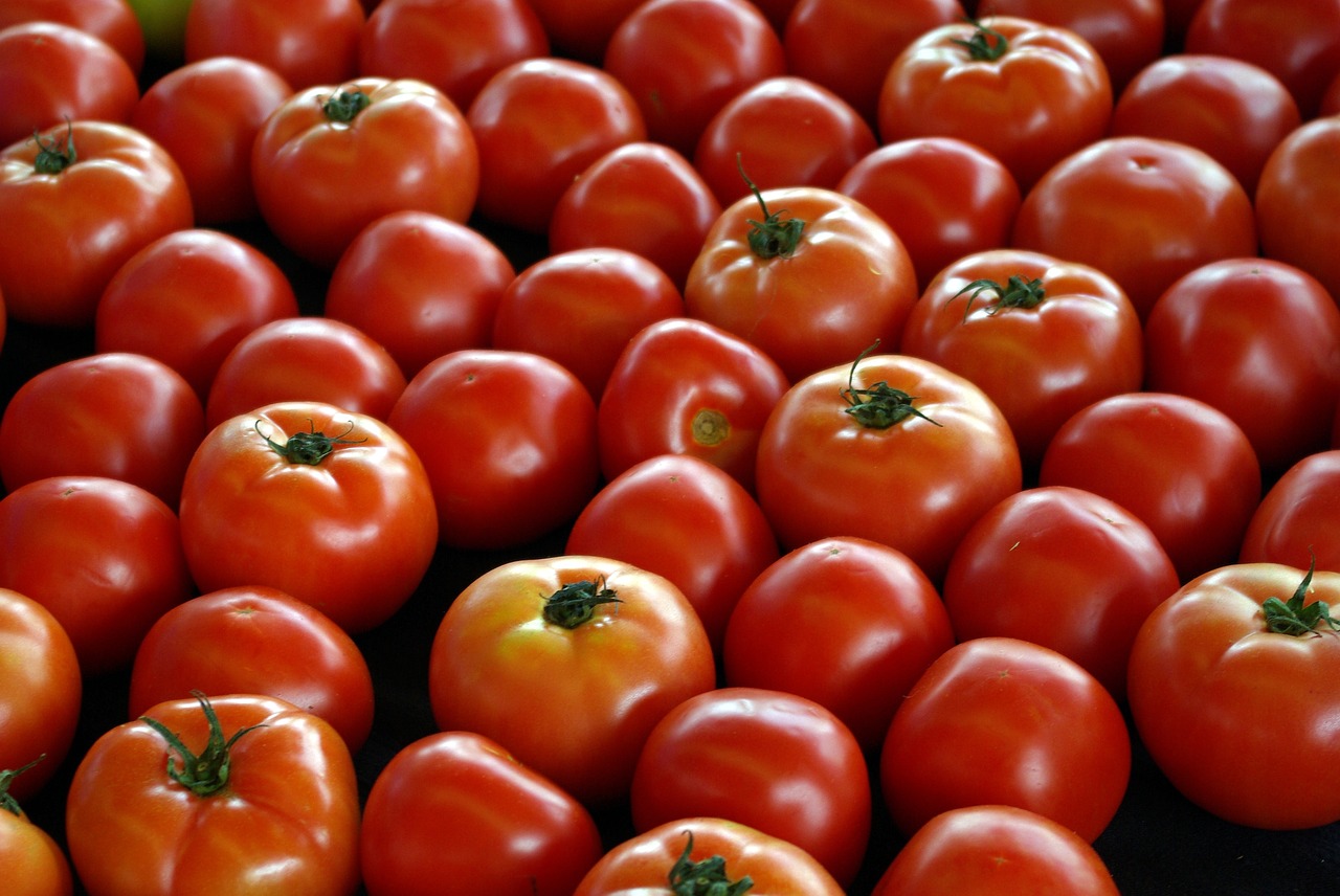 Žemės Ūkio Rinkos Pomidorai,  Litl Rokas,  Pomidorai,  Daržovės,  Maisto,  Derlius,  Turgus,  Pomidorų,  Ūkis,  Žemės Ūkio