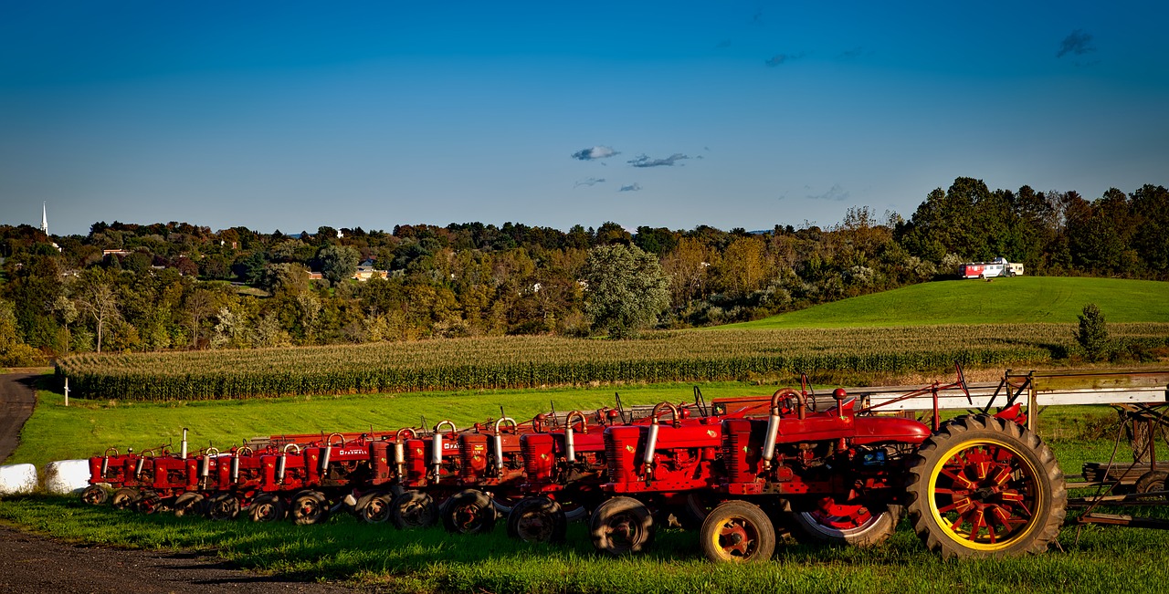 Farmall, Traktoriai, Vintage, Senovinis, Įranga, Kaimas, Raudona, Mašinos, Ūkis, Tabako Svirnas