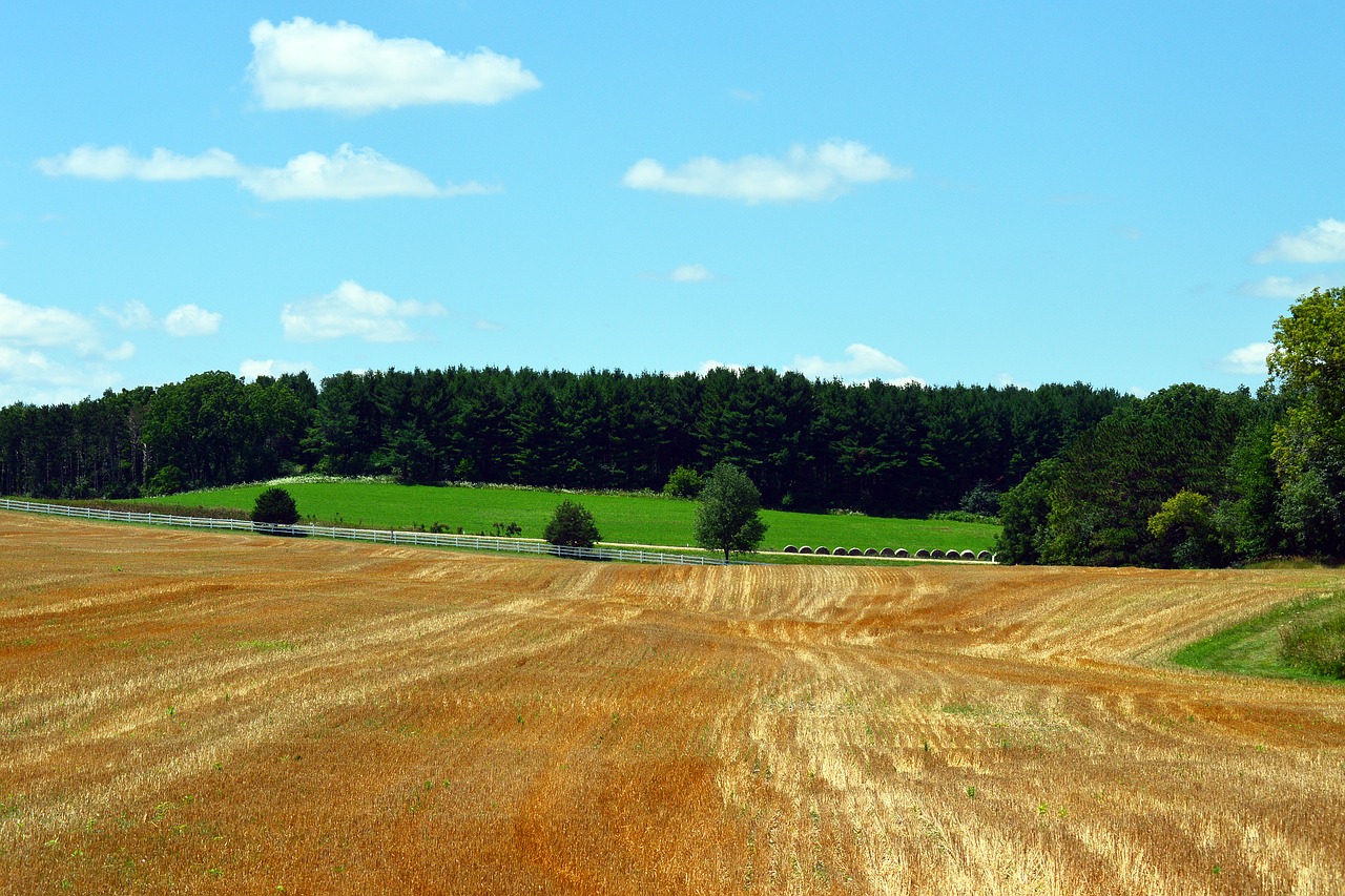 Žemės Ūkio Paskirties Žemė, Ūkių Laukas, Ūkis, Laukas, Žemdirbystė, Kraštovaizdis, Kaimas, Kaimas, Ūkininkavimas, Gamta