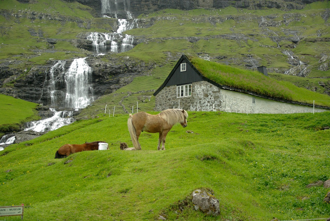 Farerų Salos, Kaskados, Arkliai, Fjordas, Nemokamos Nuotraukos,  Nemokama Licenzija