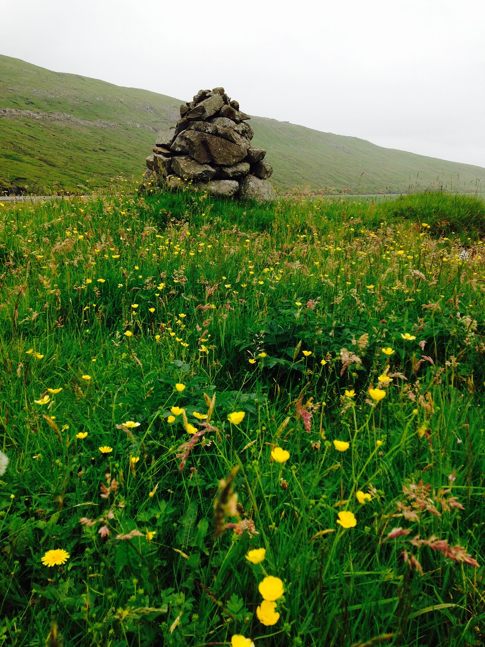 Farerų Salos, Gamta, Faroe, Salos, Kraštovaizdis, Lauke, Kelionė, Fotografija, Žolė, Žalias
